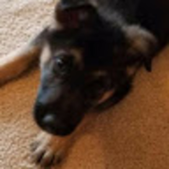 Meet your Posher, Evellyn - Picture 1 of 1